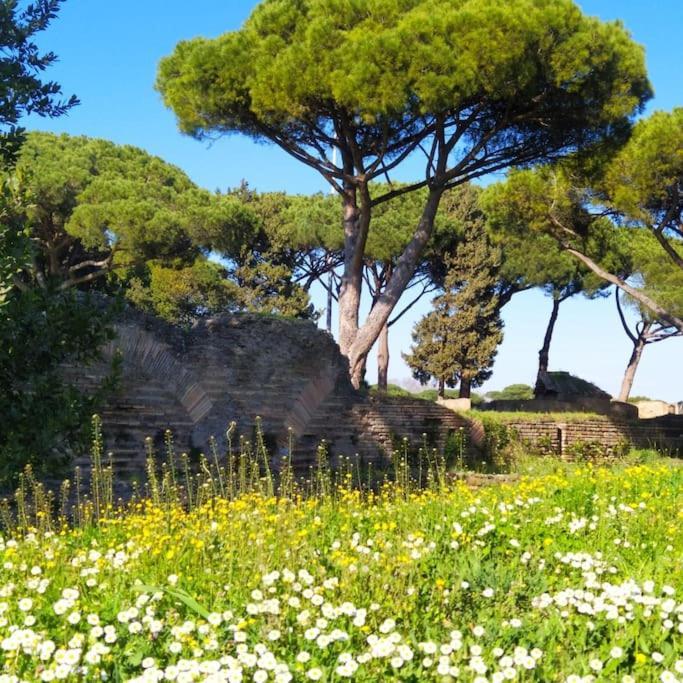 Per Antiqua Itinere Daire Ostia Antica Dış mekan fotoğraf